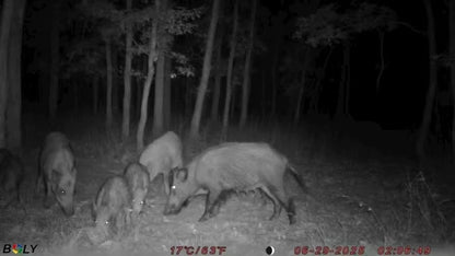 BolyGuard EzGo 4G Cellular Trail Camera 37MP Wildlife Hunting Cameras 940nm Night Vision IP68, Real-Time Alerts via App