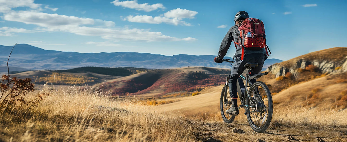 VARUN M26-2 Adult E-Mountain Bike 250W 48V13AH Urban commuting Electric Bicycle 27.5" Fat Tire E Bike