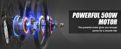 VARUN M26-2 Adult E-Mountain Bike 250W 48V13AH Urban commuting Electric Bicycle 27.5" Fat Tire E Bike